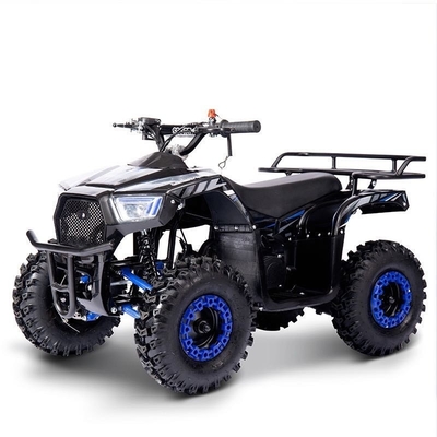 Fuel Electric Mini ATV 49cc Ketenmotor Power 2WD Drive voor Kinderavontuur