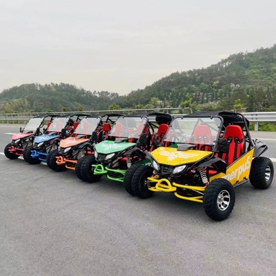 MOTO 200/250/300cc CVT UTV Dune Buggy voor volwassenen Type Schakelbaar 2WD/4WD MOTO