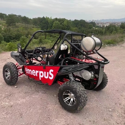 Off Road Adventure Hot UTV 4x4 met 150cc 200cc 300cc benzinemotor EEG-certificaat