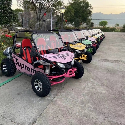 Off Road Adventure Hot UTV 4x4 met 150cc 200cc 300cc benzinemotor EEG-certificaat
