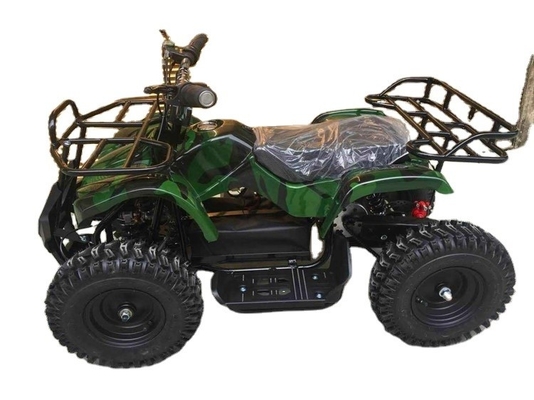 800 1000W 1 cilinder ATV voor 49cc 50cc 125cc All Terrain Vierwiel Balance Shaft Buggy