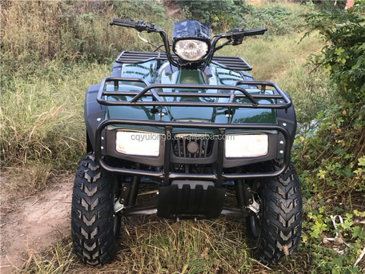 200cc 300cc 4x4 ATV UTV Off Road Vierwieler Side by Sides Kwaliteitsgraad Vierwieler