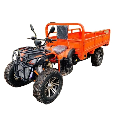 800 1000W 2 cilinder watergekoelde ATV 250CC 4X4 Off Road Buggy met vrachtemmen