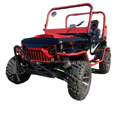 4x4 Farm UTV 250cc 350cc 300cc Cargo ATV met hoge laadcapaciteit en 800-1000W vermogen