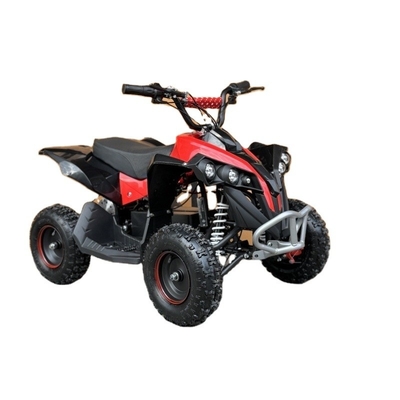 Elektrische ATV 36V 800W 48V 1000W Buggy Quad Bike voor kinderen en volwassenen