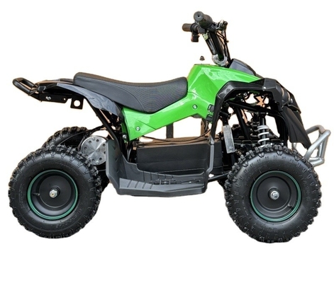Elektrische ATV 36V 800W 48V 1000W Buggy Quad Bike voor kinderen en volwassenen
