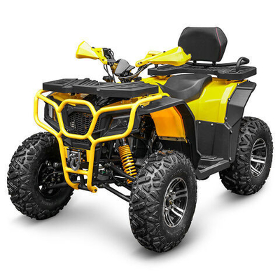 250cc benzine ATV Quad Bike Buggy UTV 200cc off-road motor met krachtige motor
