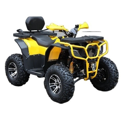 250cc benzine ATV Quad Bike Buggy UTV 200cc off-road motor met krachtige motor