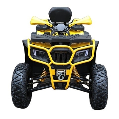 250cc benzine ATV Quad Bike Buggy UTV 200cc off-road motor met krachtige motor