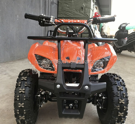 Little Bull 500W 36V elektrische ATV voor kinderverhuur op off-road safari avontuur