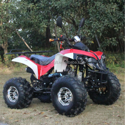 Aanpasbaar 125cc volwassen terreinvoertuig met natuurlijke luchtgekoelde motor