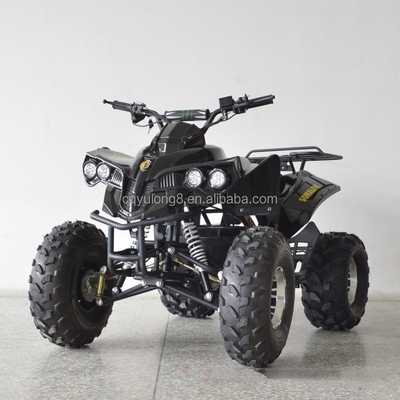 1000w elektrische ATV met astransmissie en voordrom achterdromrem