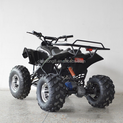 1000w elektrische ATV met astransmissie en voordrom achterdromrem