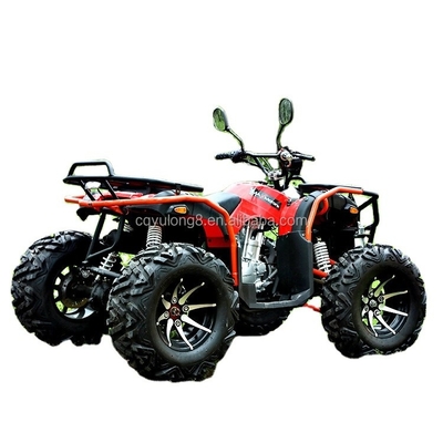 Aanpassen van uw rit Big Bull 300cc 4 * 4 volwassen off-road ATV met 300mm grondvrijheid