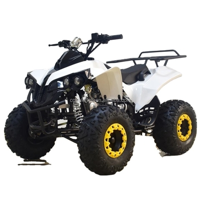 49cc 50cc 125cc Gas aangedreven Mini Quad Bike ATV voor kinderen of volwassenen wielbasis 1000-1400mm