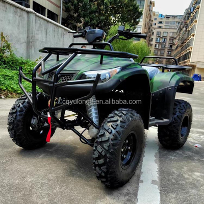 250cc Viertakt Vierwiel Off-Road ATV met keten aandrijving en aanpassingsfuncties