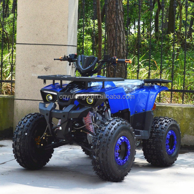 125cc/150cc Vierwiel ATV 4 Takt Vierwieler voor sportrijden Type 4WD