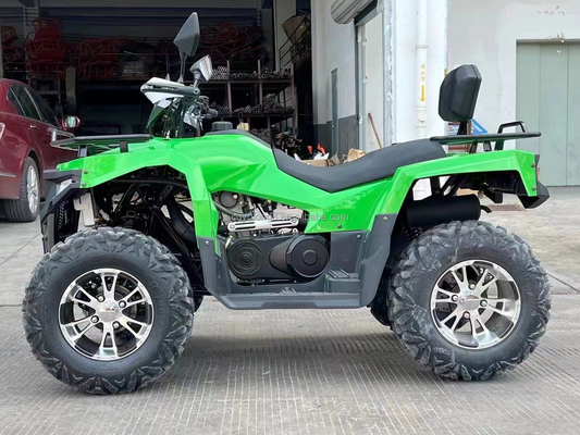 Kettingrijden 300cc Outdoor Sport Game Electric Quad Bike Volwassen ATV 4x4