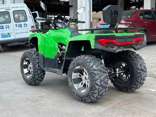 Kettingrijden 300cc Outdoor Sport Game Electric Quad Bike Volwassen ATV 4x4