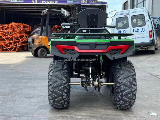 Kettingrijden 300cc Outdoor Sport Game Electric Quad Bike Volwassen ATV 4x4