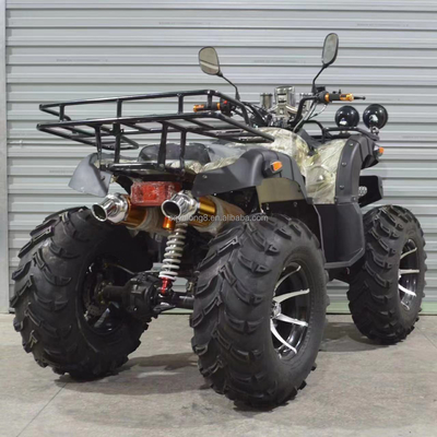 300kg Grade Capacity 250cc Off Road 4 Wheel Motorcycle ATV voor off-road excursie