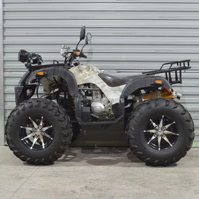 300kg Grade Capacity 250cc Off Road 4 Wheel Motorcycle ATV voor off-road excursie