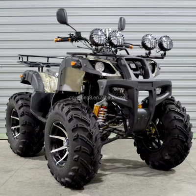 300kg Grade Capacity 250cc Off Road 4 Wheel Motorcycle ATV voor off-road excursie